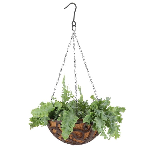 Ripustettava kori kookospähkinällä, 30 cm