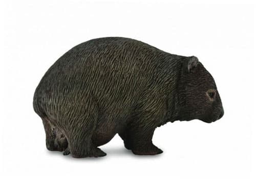 Collecta. Wombat