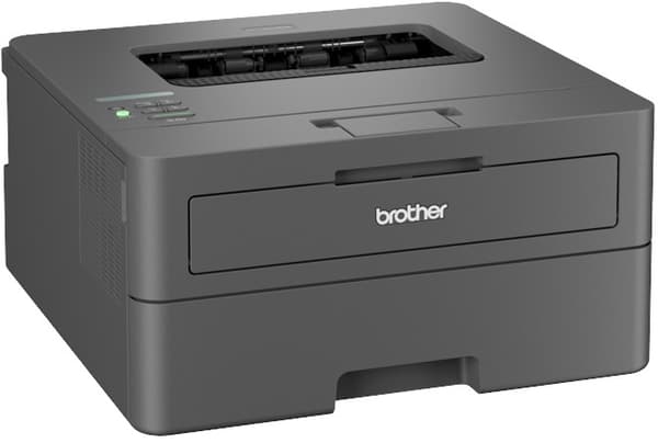 Brother HL-L2400DW sort printer (HLL2400DWRE1)