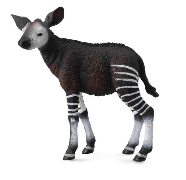 Okapi-vasikka