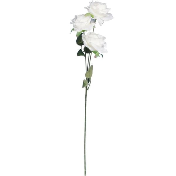 KREN 3 ROSOR 66 cm VITA