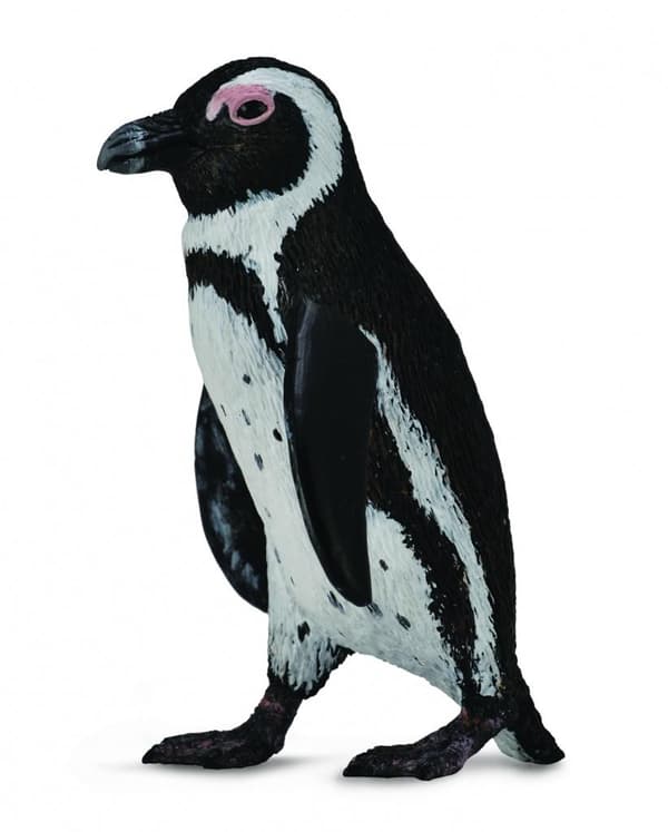 Afrikkalainen pingviini