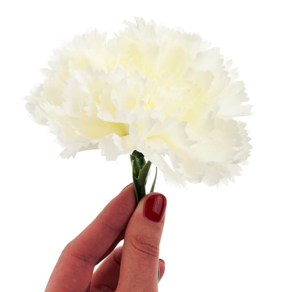 CV22527-1 NÄLIKA ENBLOMMIG VIT VACKER