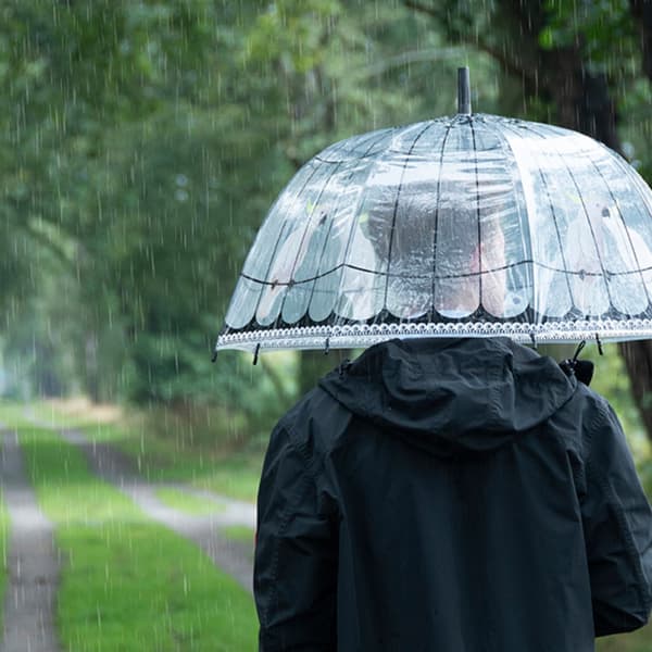 Transparent fågelburparaply