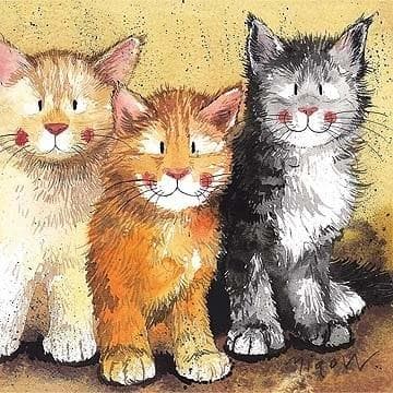 Passér AC323 Rodger, Dodger og Tinkerbell Cats