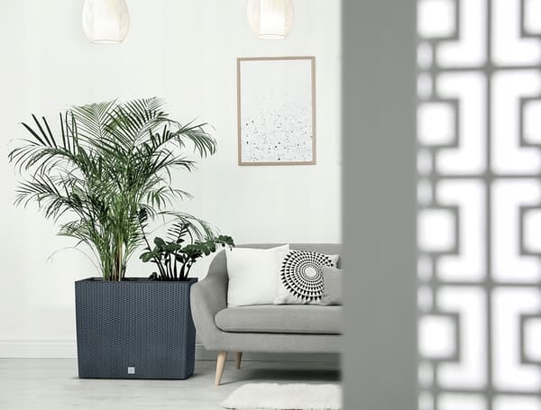 RATO Case DRC600T Hög Blomkruka | Vit