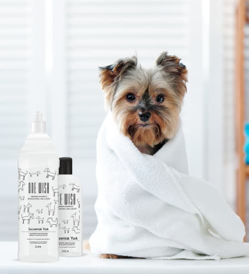 ONE wish Yorkie-pentushampoo 250ml