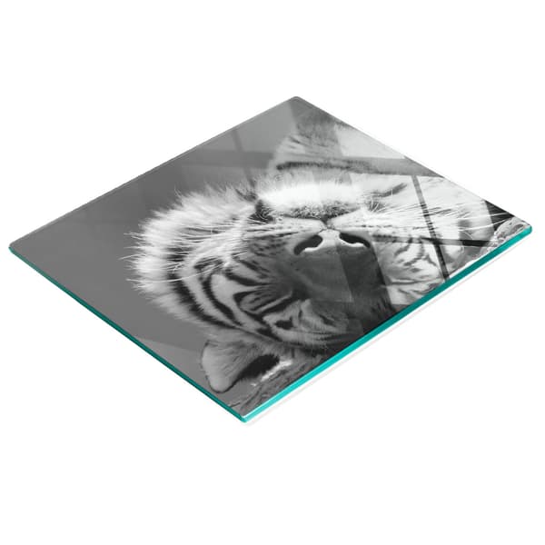 Dekorativt serveringsfat i glas för snacks Sovande tiger 60x52 cm