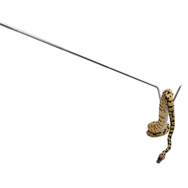 Repti-Zoo Rostfri Ormkrok - Metallkrok för ormar max 2 kg