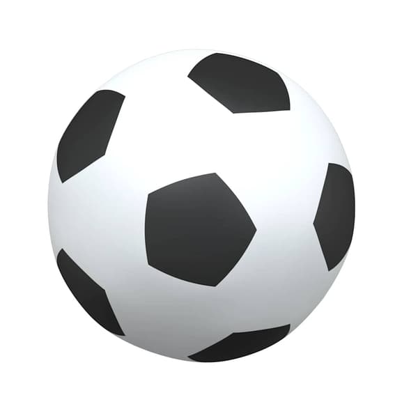 vidaXL børnefodboldmål med målmåtte og bold