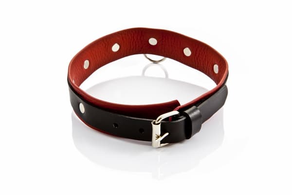 WHIPS bindningar damkrage medium