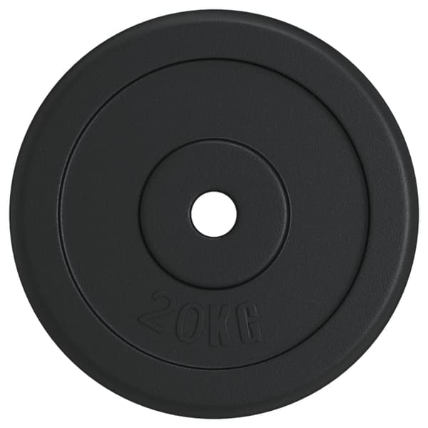 vidaXL 20 kg viktskiva i gjutjärn