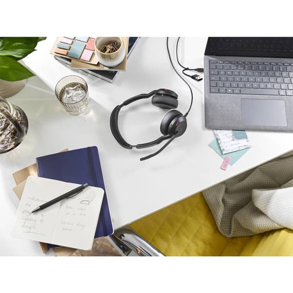 Jabra Evolve2 50 USB C/A MS Stereo Sorte Hovedtelefoner (25089-999-799)