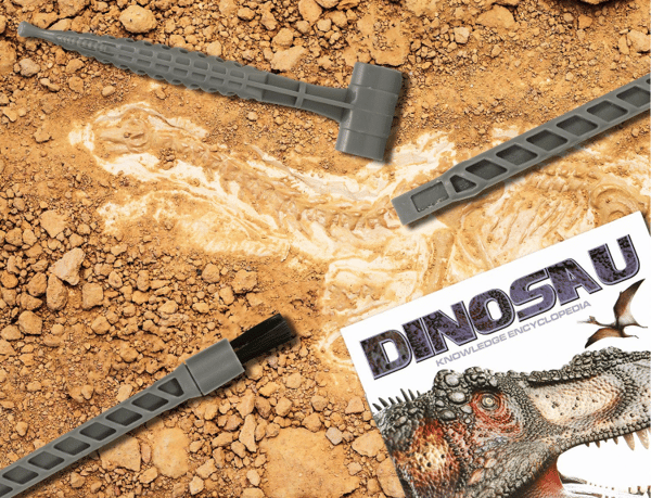 DINOSAURÆG FOSSIL 6 MØNSTRE