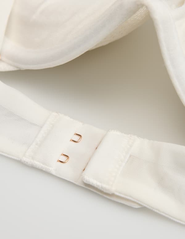 Crown Esotiq Push-Up -rintaliivit | Kermanvärinen 65D
