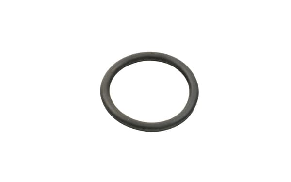 FT49934 VATTENPUMP SNABB O-RING
