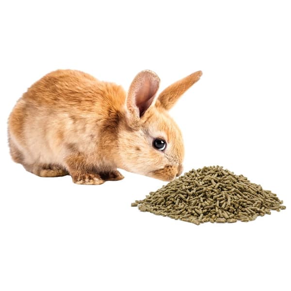Foder til gnavere, kaniner, hamstere og marsvin Vitapol Karmeo Pellet 1kg
