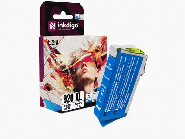 Inkdigo 920XL-blæk kompatibel med HP OfficeJet 6000 6500APlus 7500A 6500 TÜV-certificeret