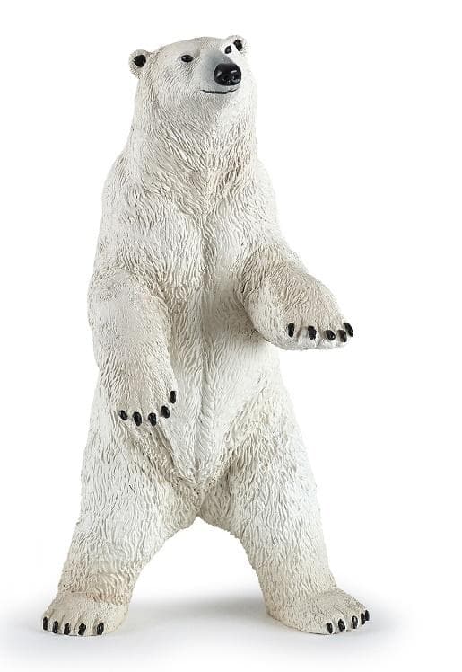 Jääkarhu seisoo