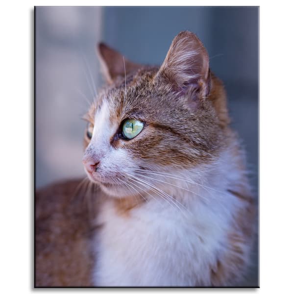 Lærredstryk Dyr Ingefærkat 40x50 cm