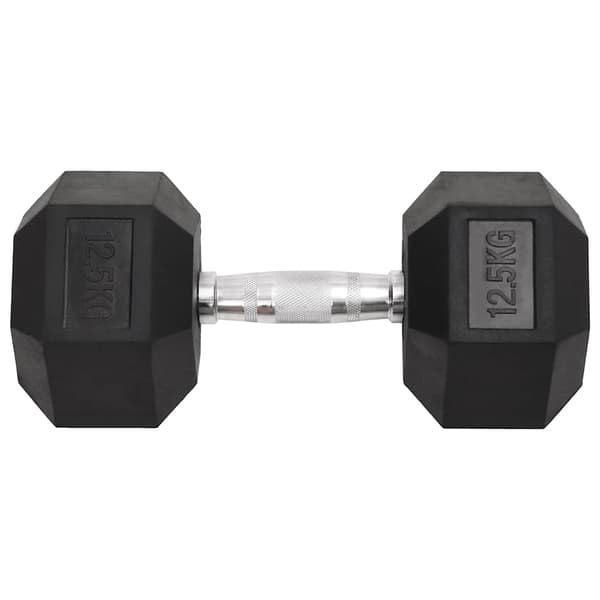vidaXL Käsipainot, 2 kpl, 25 kg, valurauta