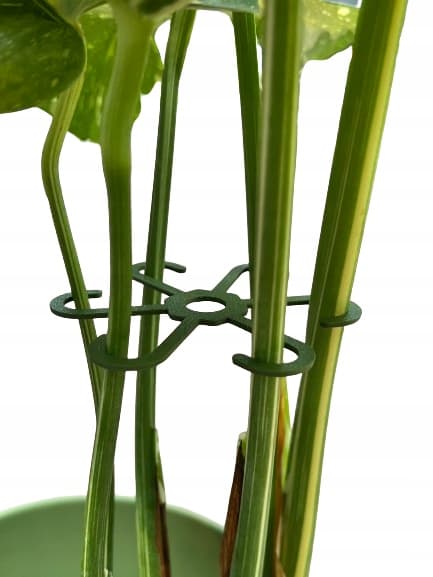 Stöd för växter och blommor Stöd för stöd Starkt grepp SML 6x