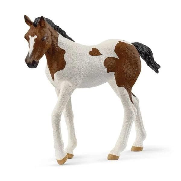 Paint Horse -varsa