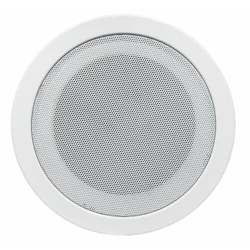 Högtalare 100V NSP NS-304