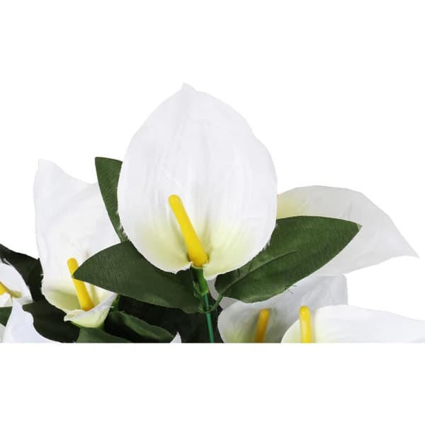 Buket med 12 hvide anthuriums
