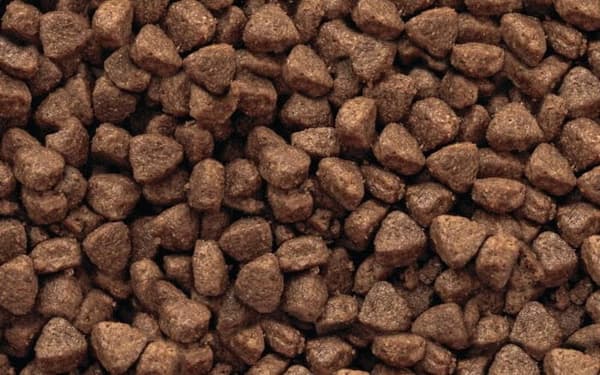 Gilpa Umami tørfoder til katte 15 kg
