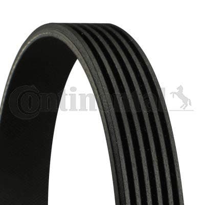 CONTITECH 6 PK 880 multiribbet rem
