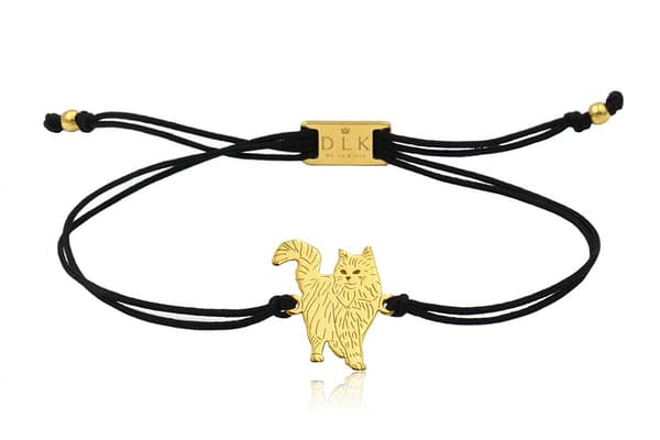 Norskt guldkattarmband på snöre