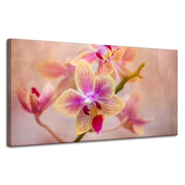 Canvastavla Botanik Blomma Orkidé 120x60 cm