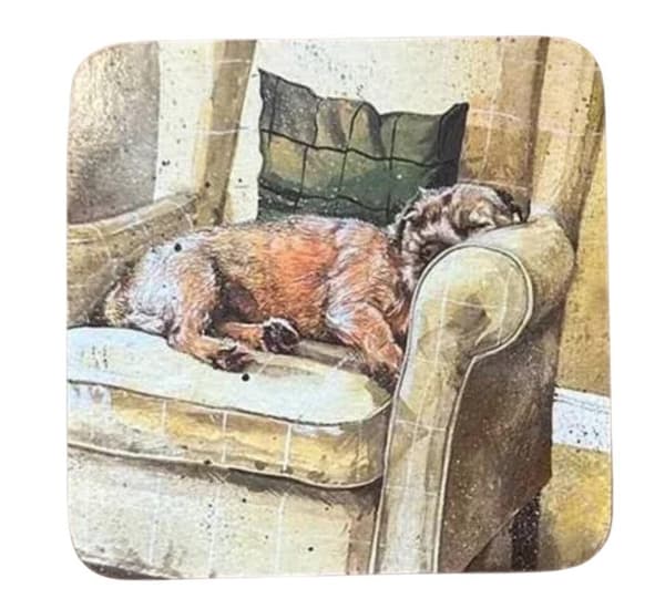 C167 Walter Hunden Krus Coaster