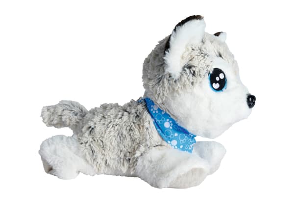 Chi Chi älskar glad husky