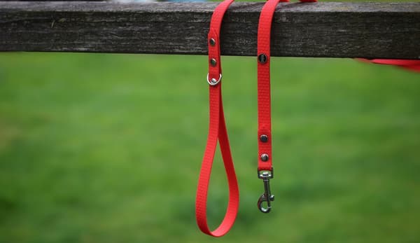 Hexa city hundkoppel, bredd 10 mm, S, 2,2 m/röd