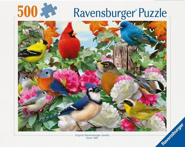 2D-puslespil 500 havefugle