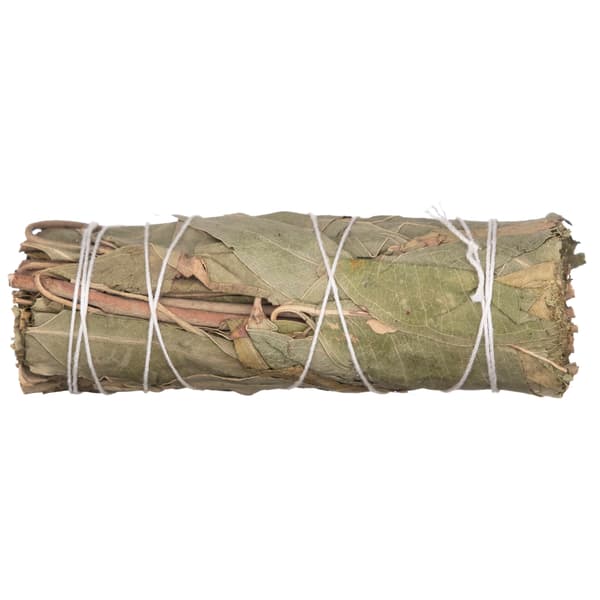 Naturlig rökelse - eukalyptus
