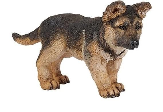 Schäfervalp