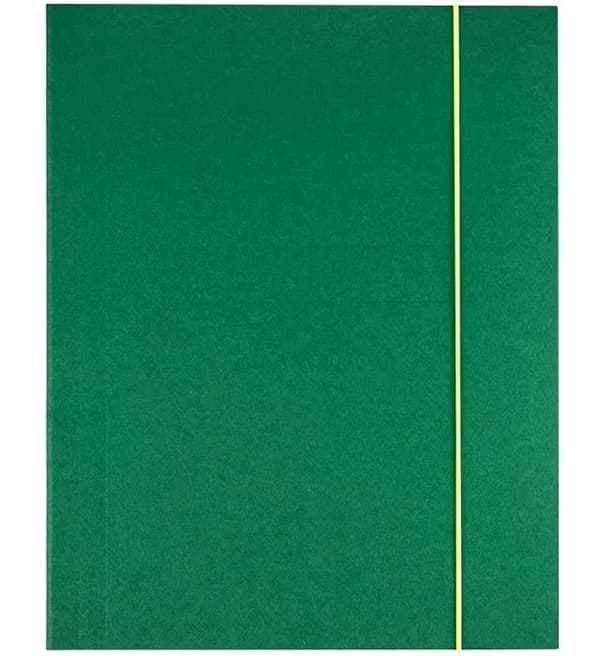 Mappe med elastik A4 Kreativ grøn (10 stk) GRAND