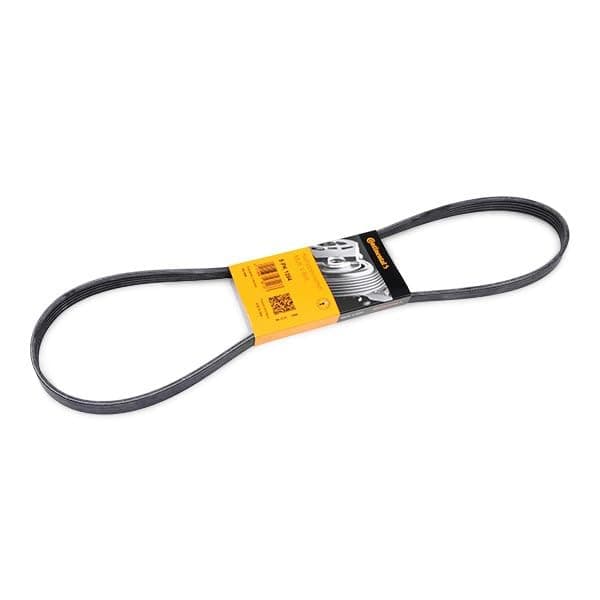 CONTITECH 5 PK 1094 multiribbet rem