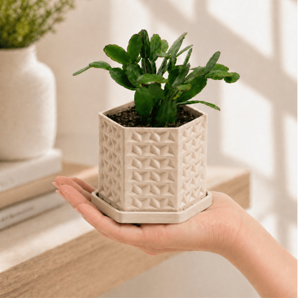 Beige geometrisk 3D-urtepotte med underkop og dræn, moderne