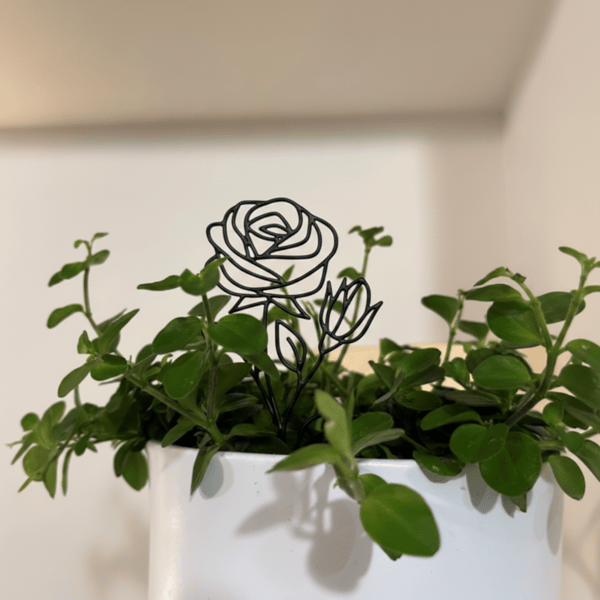 Sæt med 3 dekorative roser i 2D-form i sort