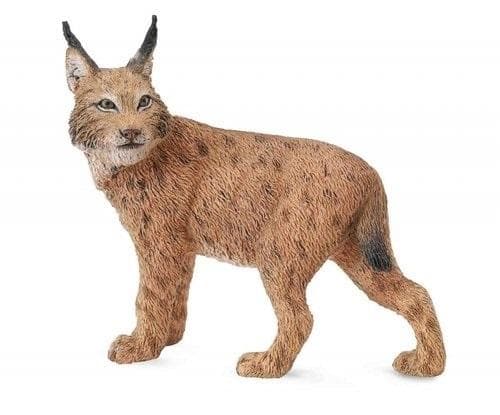 Ilves