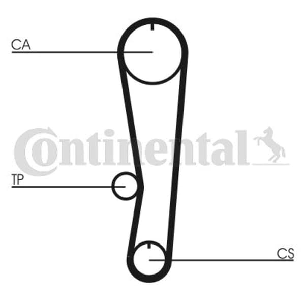 Kamremsats (rem + rulle) CONTITECH CT 895 K1