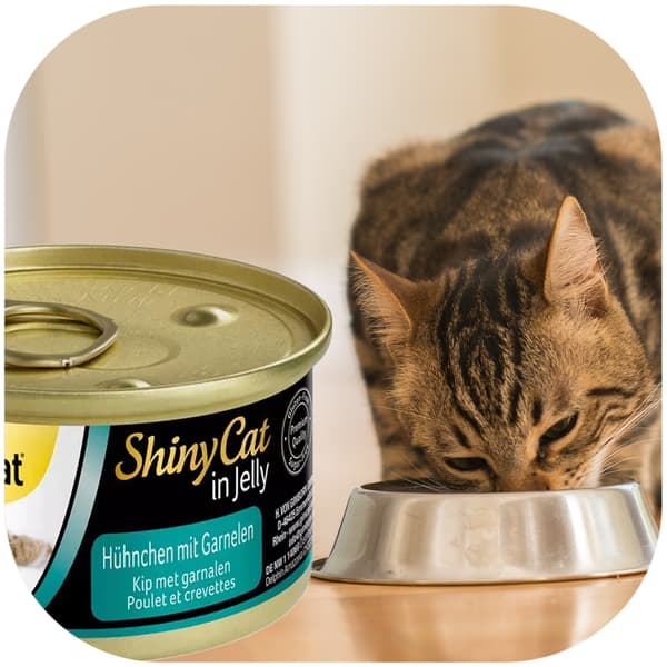 GimCat ShinyCat i gelé - kødfoder kylling og rejer 70g