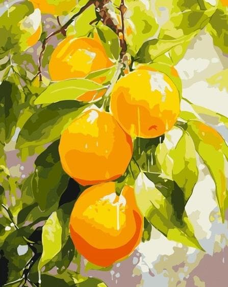Maleri efter tal - Saftige citroner 40x50cm