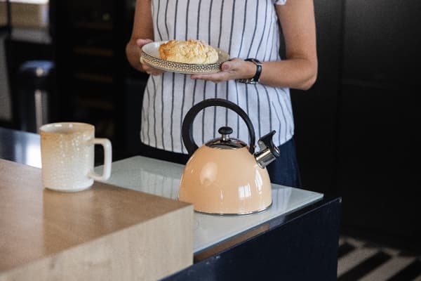 BRILLO KEDEL I RUSTFRIT STÅL 2,5L PEACH