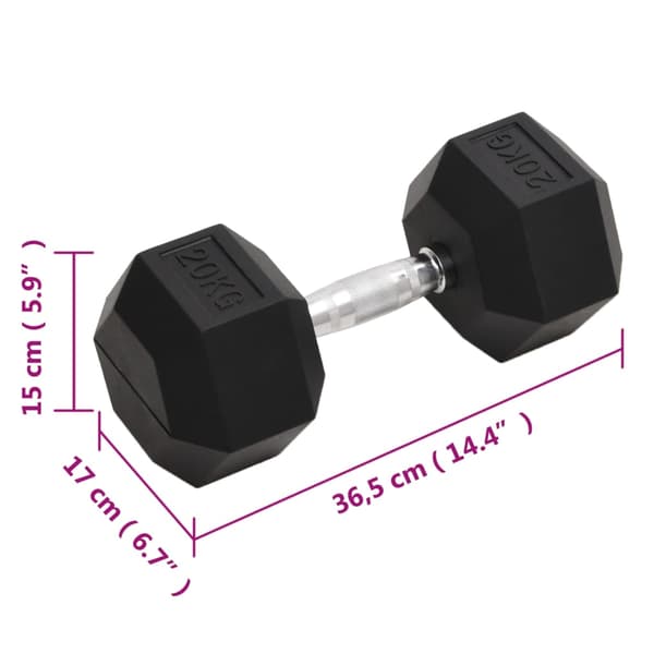 vidaXL Käsipaino, 20 kg, valurauta