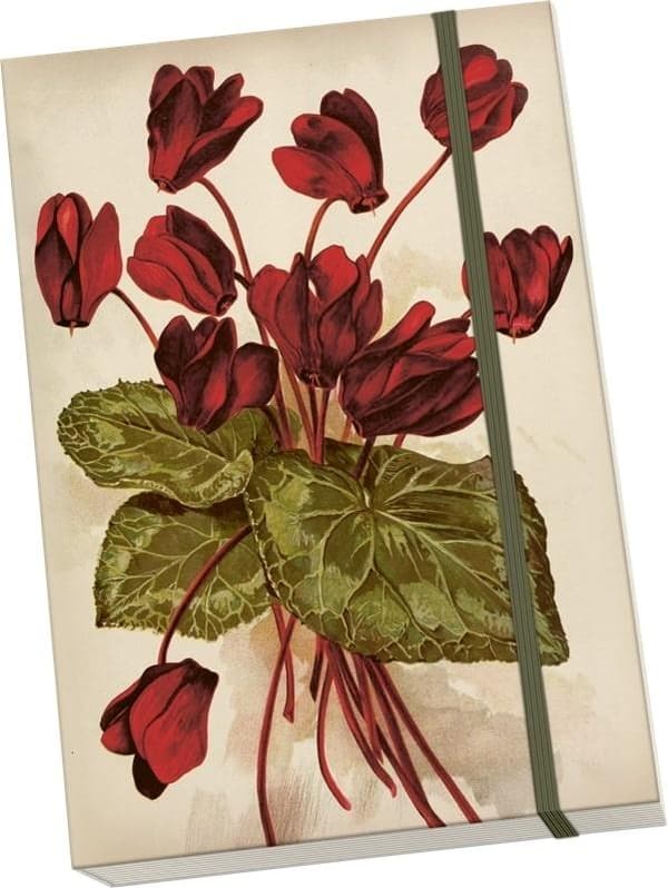 Dekorativ notesbog A5 STNOTE 145 Cyclamens